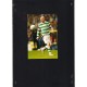 Signed Freddie Ljungberg Official Celtic Photo Card